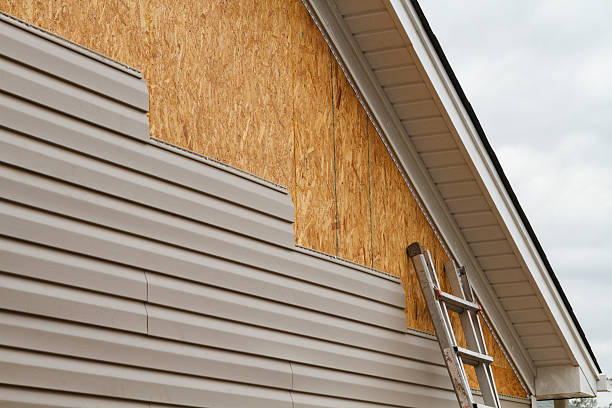 Professional Siding Repair technician working in Columbus, MN